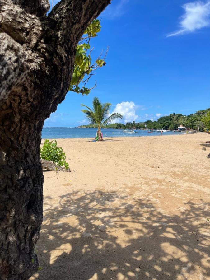 Appartement Vue Mer A 2 Minutes A Pied Des Plages Tartane Ла-Трините Экстерьер фото