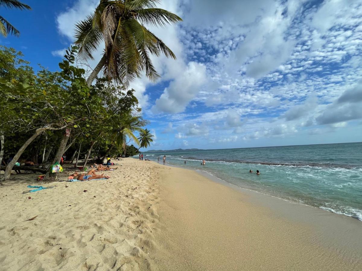 Appartement Vue Mer A 2 Minutes A Pied Des Plages Tartane Ла-Трините Экстерьер фото